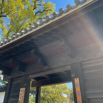 『徳川家の雛まつり』特別展