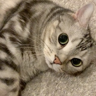 ママのクシャミに、何か言いたいらしい。