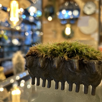 人形町寿堂〜丸の内BAR Oakへ🎵