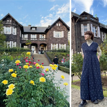 眺めているだけで心癒される！旧古河庭園の美しいバラ＆紅葉鑑賞【チームJマダムブログ人気記事週間ランキングTOP10】
