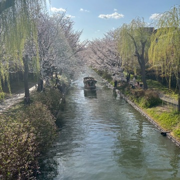 春の伏見で、桜とやさしい時間を