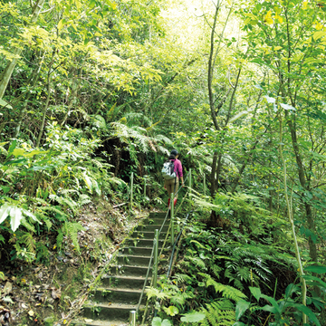 【50代からの沖縄】一度は泊まりたい極上宿「やんばるホテル南溟森室」