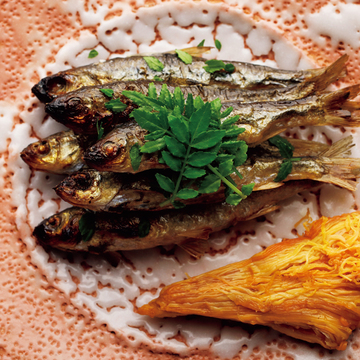 【50代の注目美食】医食同源を土台にした「百薬 by 徳山鮓」、大人をもてなす都会の癒し空間「アポテオーズ」