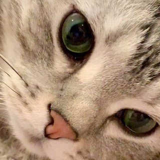 You、癒されちゃいなよ