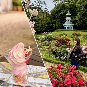 美しいバラに魅了された日♡