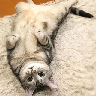 得意のポーズ！