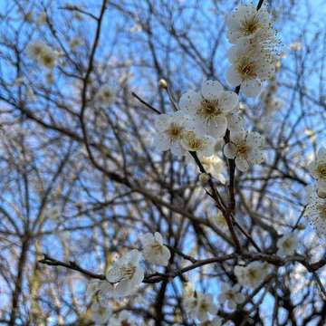 花粉症シーズン真っ只中！花粉症歴25年の私は、これで今年も乗り切ります。