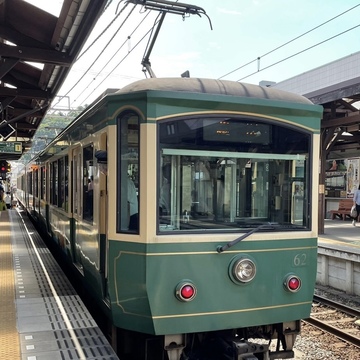 鎌倉『アジサイ』散歩