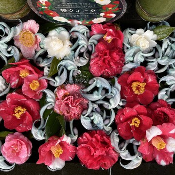 【調布】平日ソロ活♡深大寺へGO！