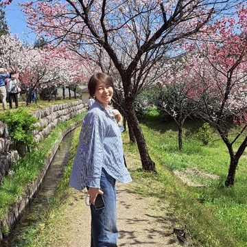 【見頃を迎える花桃の里へ 父と母の思い出をたどる春のドライブ】