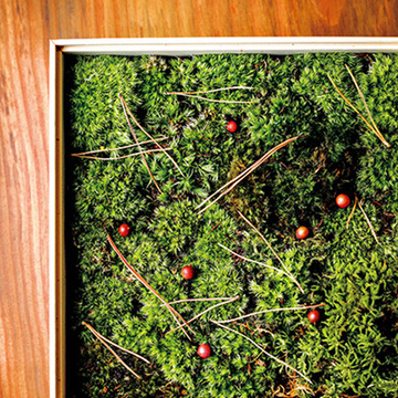【冬の京都】新年の幸せを願う、花屋「みたて」の正月飾りで