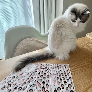 ミュージカル『日本の歴史』へ