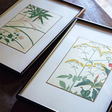 一点ものの肉筆画や版画が気軽に！　てっさい堂の“植物画”【京都 唯一無二の逸品】