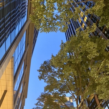 梅雨の合い間、晴れた夜の空を見上げて✨