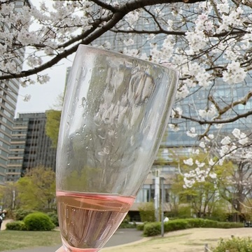 六本木ミッドタウンでお花見＆Diorイベント