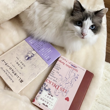 ♡憧れの山本容子さんのギャラリーツアー♡