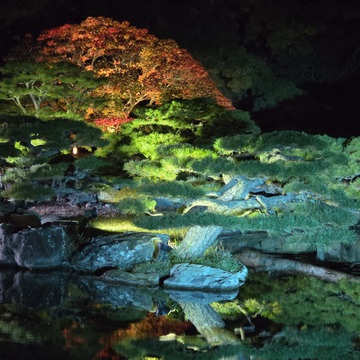 栗林公園ライトアップ