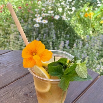 ハーブガーデンへいってきました～