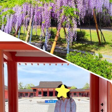 大河ドラマ　光る君への世界へ✨