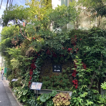 表参道隠れ家カフェのダッチベイビー