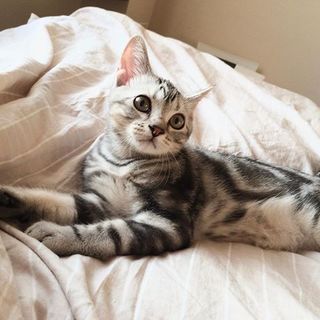 ベビーアランは、遊びすぎてひと休み