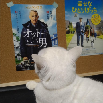 予定のないお正月休みにオススメ映画＆原作本。