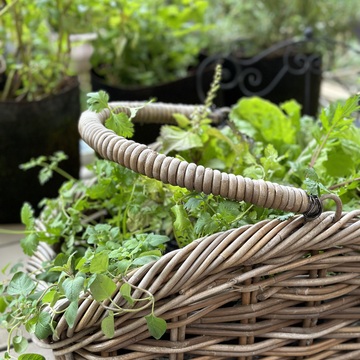 ハーブのある暮らし・・NO HERB NO LIFE！