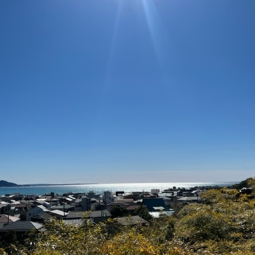 早春の鎌倉長谷へ