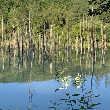 いつか行きたいを叶えた！北海道の旅！