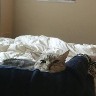 しゃくれてる！？