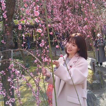 京都　しだれ梅と椿の圧巻コラボ