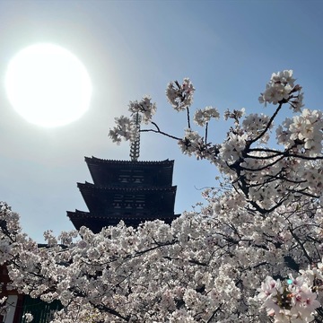 すし処 まさる@四天王寺