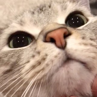 ママが帰宅！　おかえりの舞！