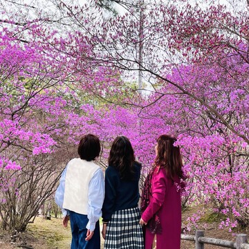 春の陽気に誘われて、廣田神社へご参拝とお花見♪