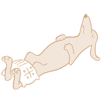 ＜自律神経を整える対症療法ワーク①＞50代の「心がツラい」から今すぐ抜け出す4つのセルフケア