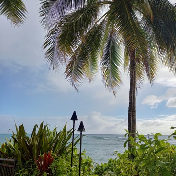 フライングホヌで行く夫婦ふたりハワイ旅行♡シェラトンワイキキ編