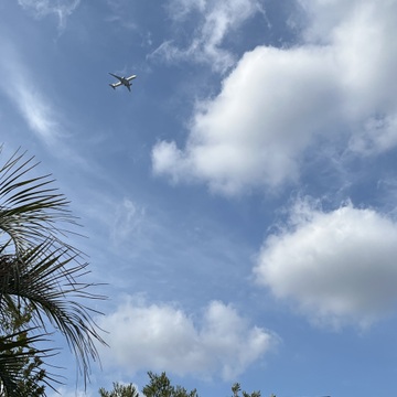平日の原宿へ②