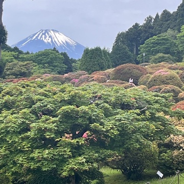 箱根新スポット　絶景の芦ノソラへ