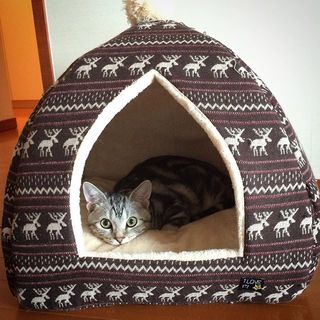 あったかハウス