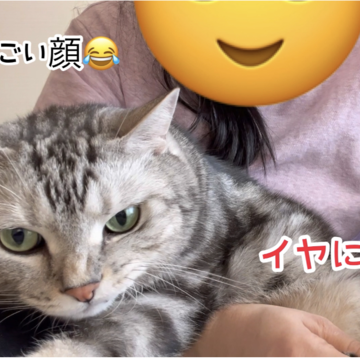 爪切りされてる猫がまさかの「悪い顔」！