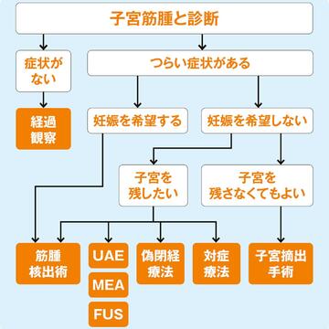 子宮筋腫の治療法はおもに4つ。今の状況と将来を見据えた選択を