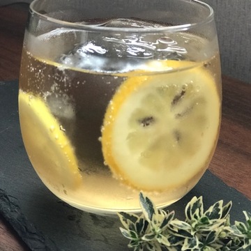 フレッシュな気分で