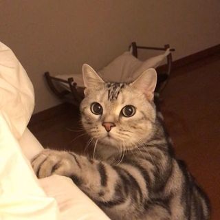 起きてよ（動画）