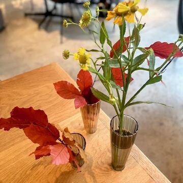 花々に囲まれながらティータイム。表参道カフェ「ニコライバーグマン」