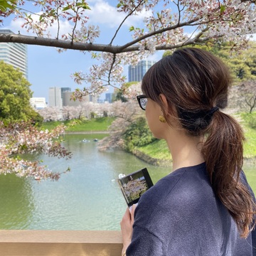 お花見散歩 in千鳥ヶ淵