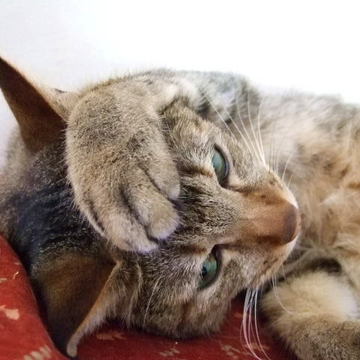 50代女性のホンネ：私の隣の”イタイ人”