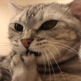 アランはネイルケア中