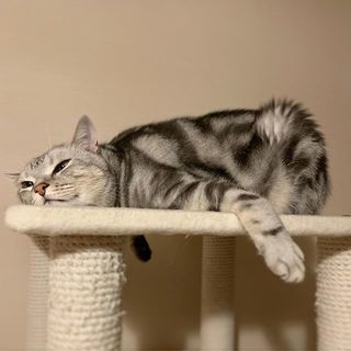 今週もお疲れ様でした