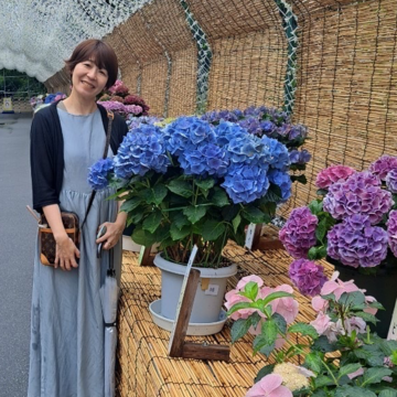 なばなの里で紫陽花を愛でてきました