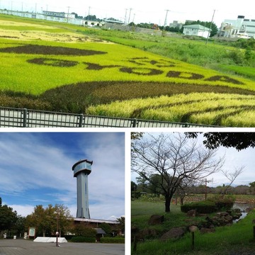 今年の絵柄は鬼滅の刃！地上から行田市の“田んぼアート”を鑑賞！？【チームJマダムブログ人気記事週間ランキングTOP10】